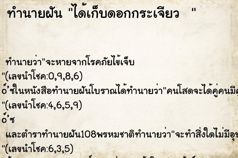 ทำนายฝันทำนายฝันได้เก็บดอกกระเจียว